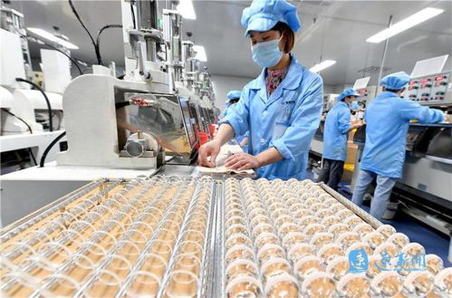 小工廠里的大智慧 高科技技術開發之路